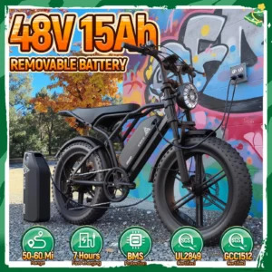 48V 15Ah Lithium Battery