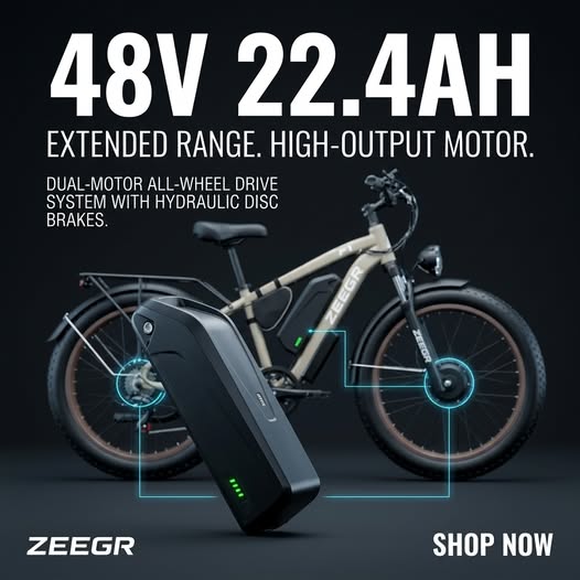Fast Charger 48V